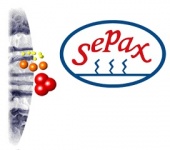 Сорбенты и колонки для гель-фильтрации (эксклюзионной хроматографии) Sepax