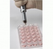 Набор для системы трансфекции Neon ™, 10 мкл, 25 x 2 реакции