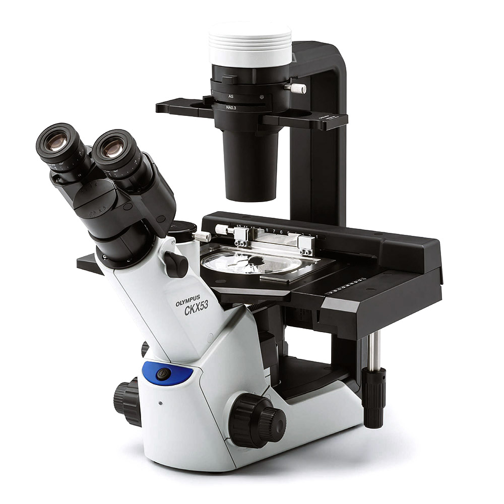 Olympus ckx53 – характеристики и преимущества микроскопа
