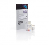 Набор Qubit RNA BR Assay Kit, для количественного определения РНК (20-1000 нг), 500 реакций