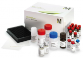 Набор для множественного определения маркеров  активации сигнальных путей  Multi-Pathway (Phosphoprotein), Merck (Millipore)