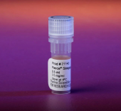 Стрептавидин-HRP с высокой чувствительностью Pierce ™, 0,5 мл