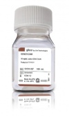 Селективный антибиотик Geneticin ™ (сульфат G418) (50 мг / мл), 100 мл