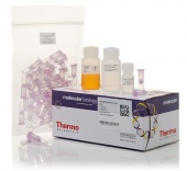 Набор GeneJET для выделения геномной ДНК, 250 реакций, Thermo