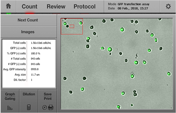 LogosBiosystems LUNA-FL Dual Fluorescence Cell Counter gfp transfection analysis 03.png
