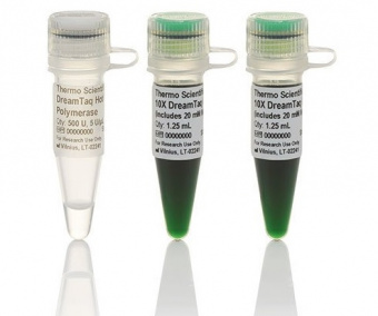 ДНК-полимераза DreamTaq Hot Start Green, термостабильная, с «горячим» стартом, 5 ед/мкл, 4х2500 единиц