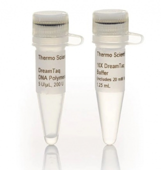 ДНК-полимераза DreamTaq (5 Ед / мкл), 200 единиц, 40 мкл