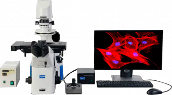 Микроскопы лабораторные инвертированные серии Nexcope NIB900