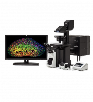 Конфокальный микроскоп Olympus FV3000