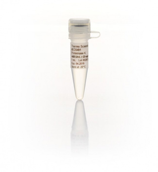 Протеиназа К, рекомбинантная, PCR-grade, 20 мг/мл, 5х1 мл
