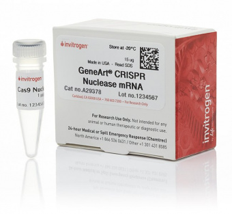 Нуклеаза GeneArt CRISPR Nuclease mRNA, 15 мкг, Thermo